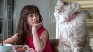 Nine Lives Rebecca and Mr Fuzzypants